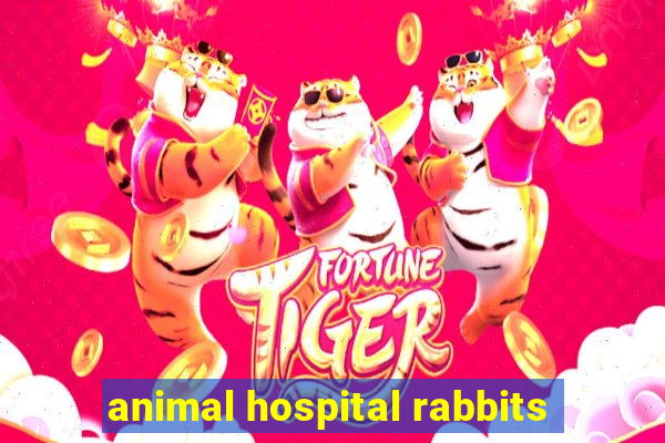 animal hospital rabbits